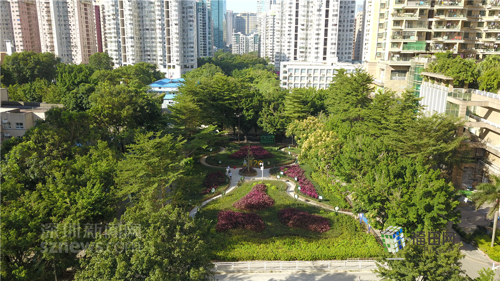  鵬城眼|我的實(shí)事我做主！5年辦理“民生微實(shí)事”6774件}